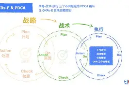 mk体育管理_战术体系清晰明朗，执行质量提升的简单介绍
